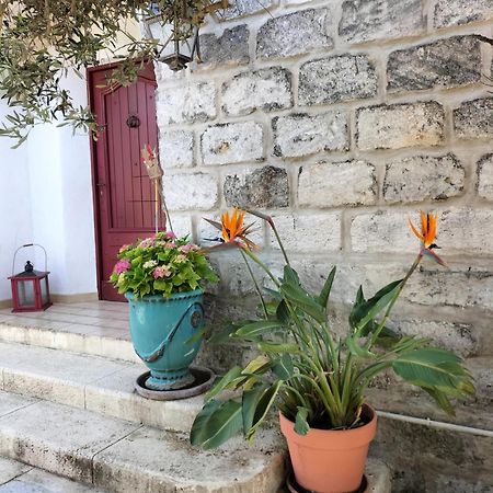 Charmant Appart Avec Jardin Aigues-Mortes Exterior foto